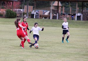 south whidbey sports complex