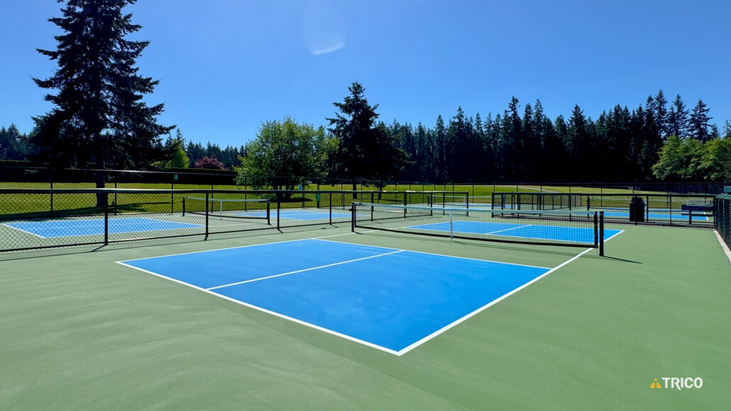 Courts side view